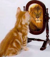 Cat is lion in mirror